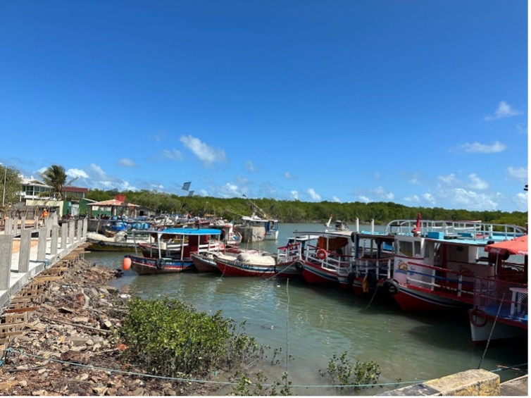 Do Mar à Passarela com a Bioeconomia da Pesca Artesanal